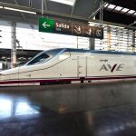 Las fuentes de Renfe afirman que, como consecuencia de la avería, el tren de AVE ha quedado parado
