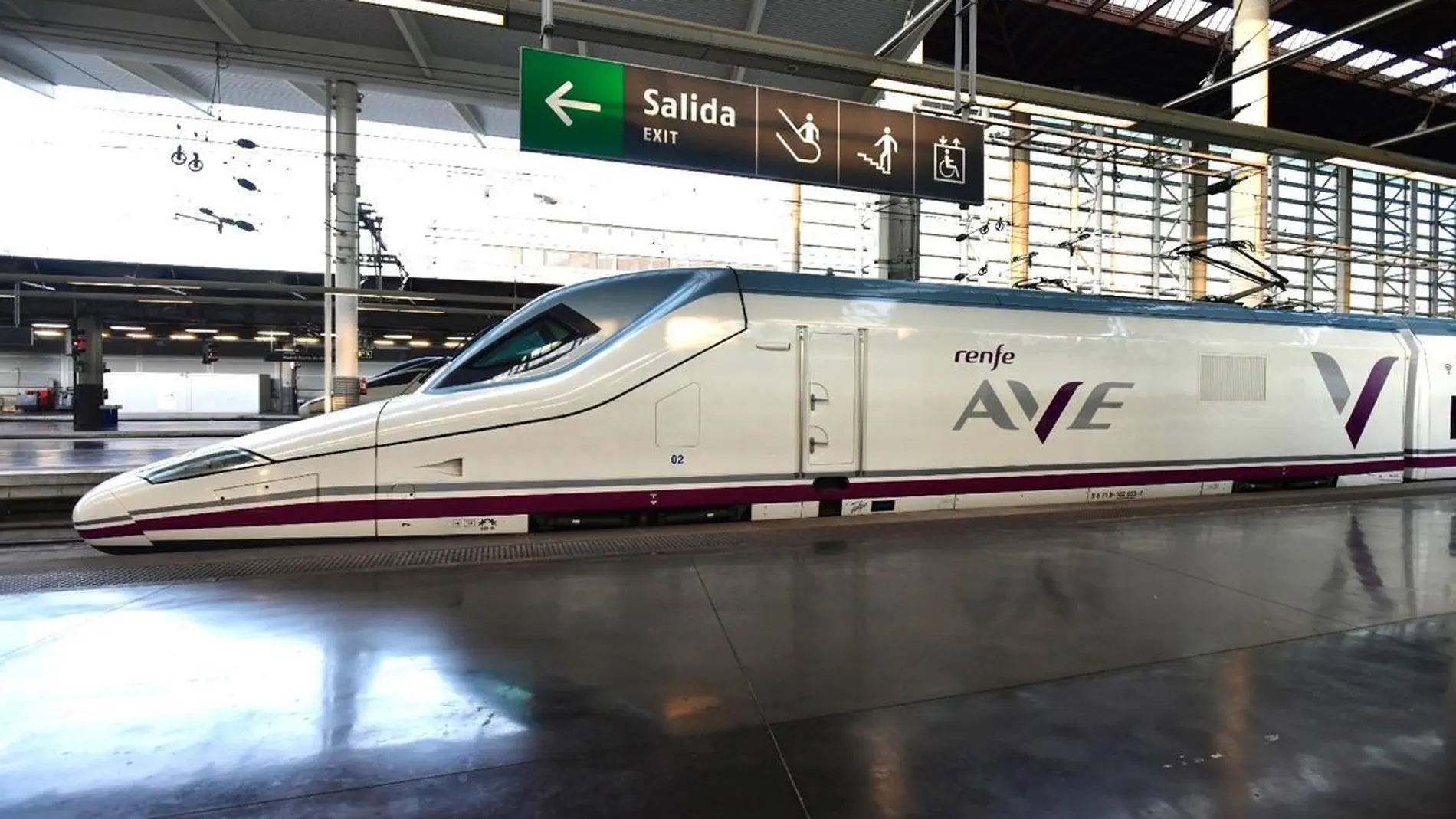 Las fuentes de Renfe afirman que, como consecuencia de la avería, el tren de AVE ha quedado parado
