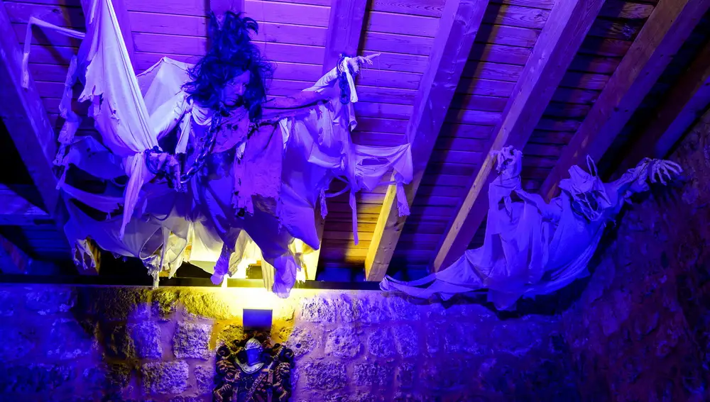 Figuras que se pueden ver en alguna de la estancia del castillo