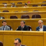Requejo pide "menos palabrería y más políticas reales" para luchar contra la despoblación