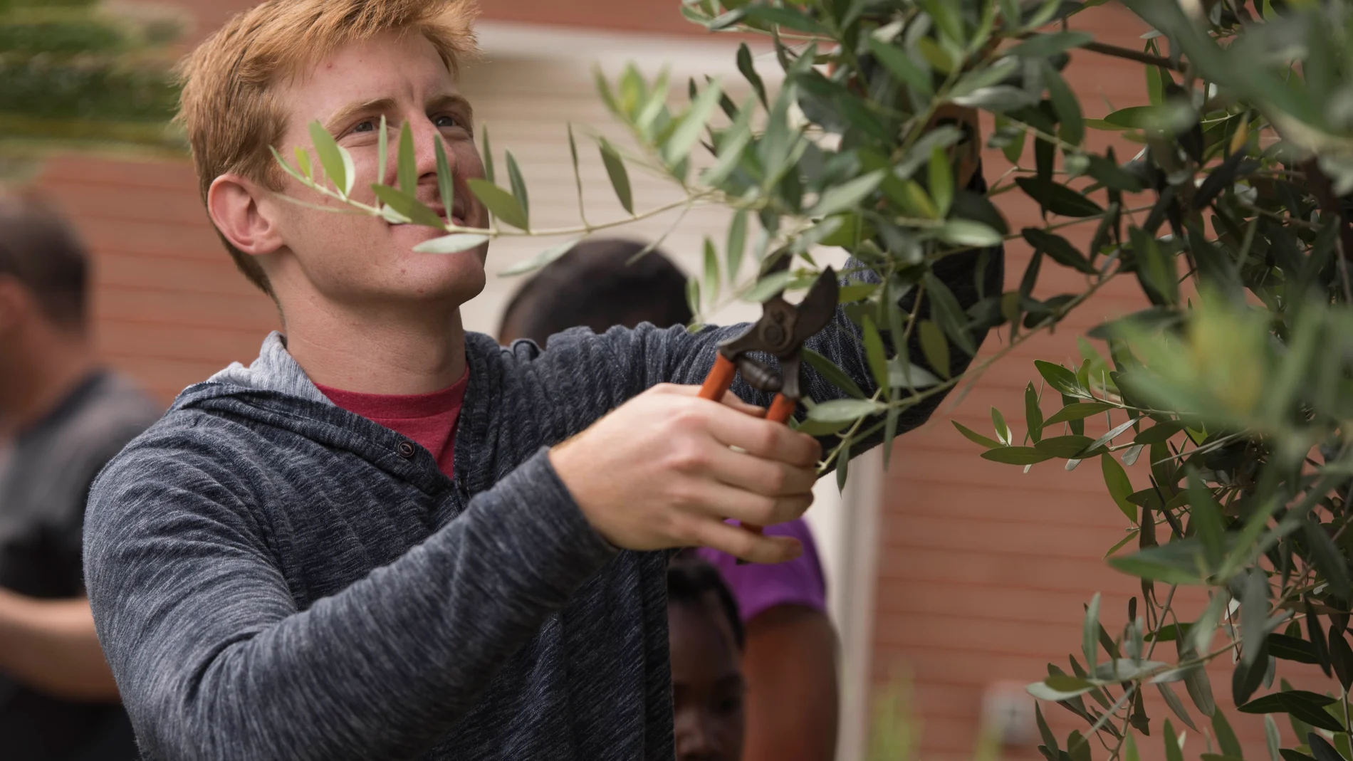 Chico cortando las ramas de un árbol (Wikimedia Commons)