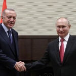 Rusia/Turquía.- Erdogan informa de una posible visita de Putin a Turquía en abril