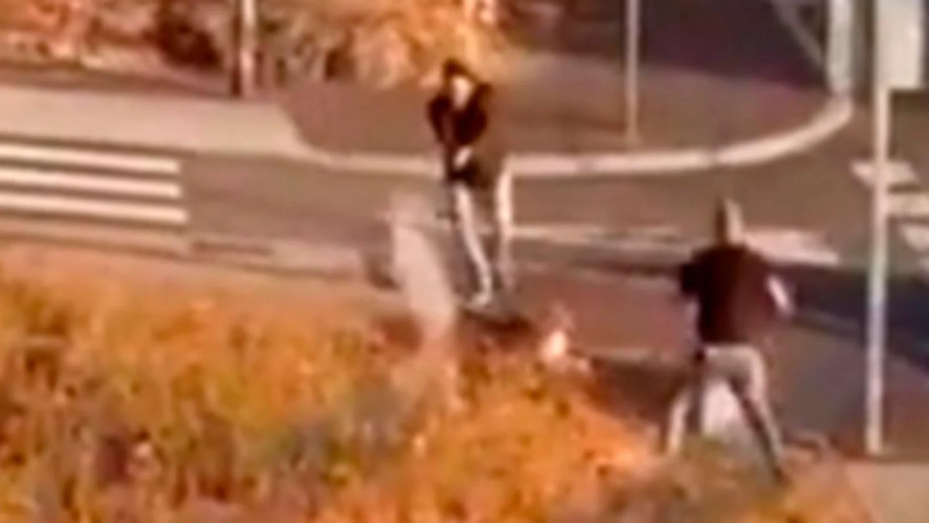 Un momento del incidente cuando los policías se defienden del ataque de los perros de presa