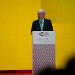 El director de la RAE: «Un desplazamiento del inglés es casi imposible» 
