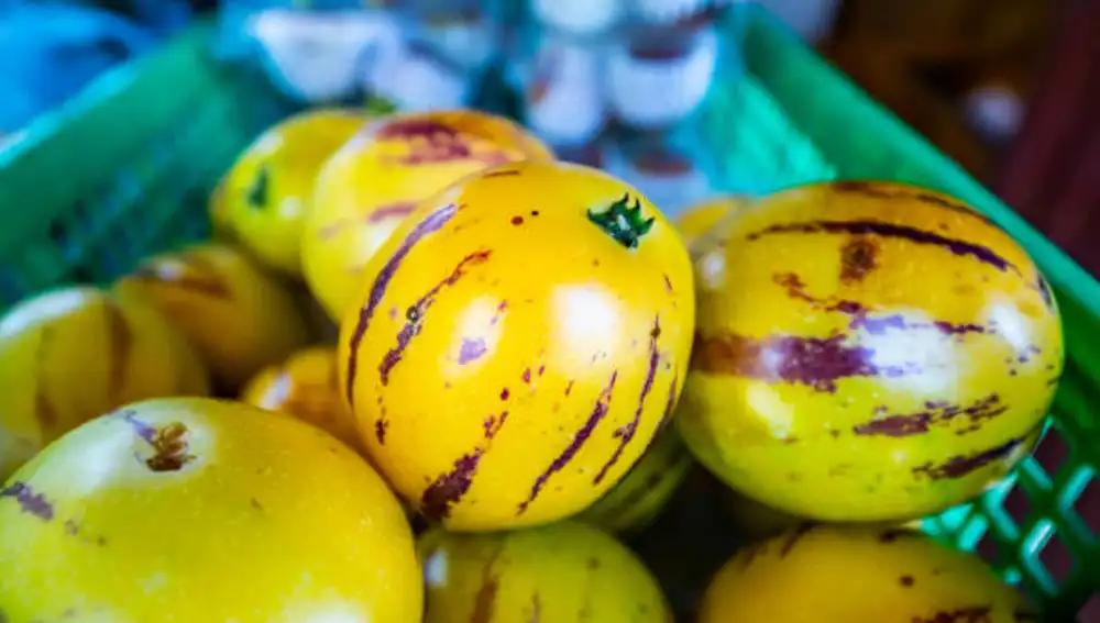 Pepino melón