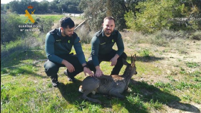 Los guardias civiles tras rescatar al corzo
