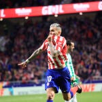 ATLÉTICO DE MADRID / BETIS