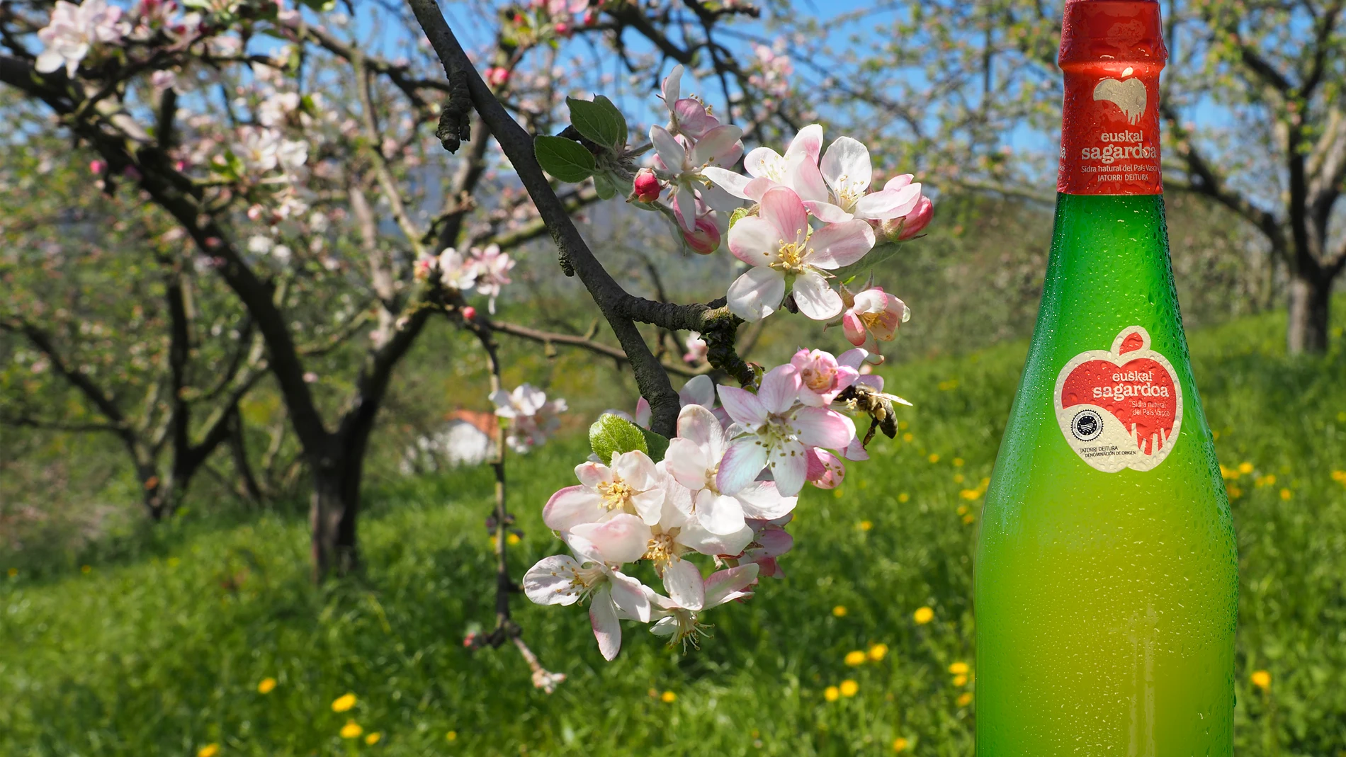Redescubriendo el sabor de Euskadi
