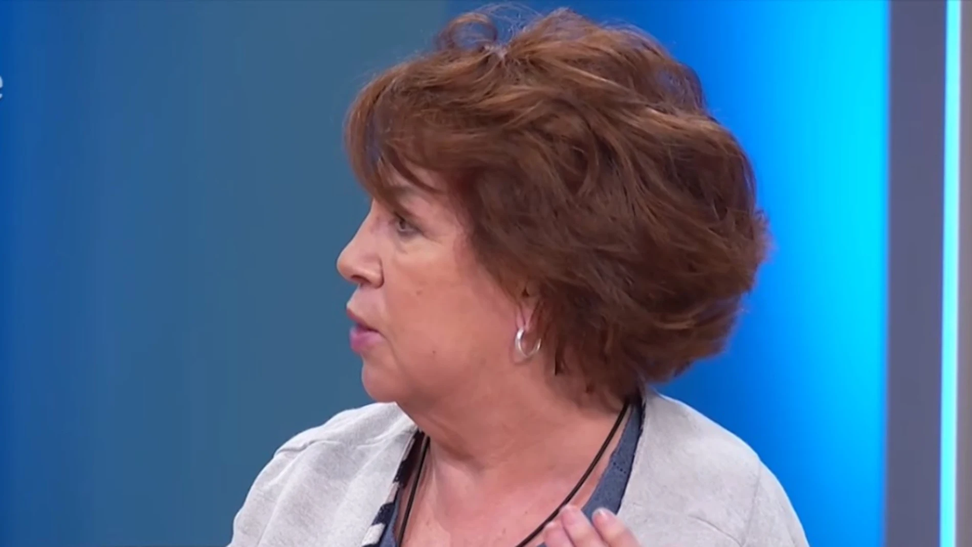 Rosa Villacastín en 'Plan de Tarde'