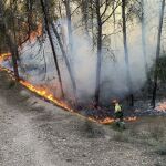 Extinguidos dos incendios en la zona de La Alberca (Murcia) y en la de La Paca (Lorca)
