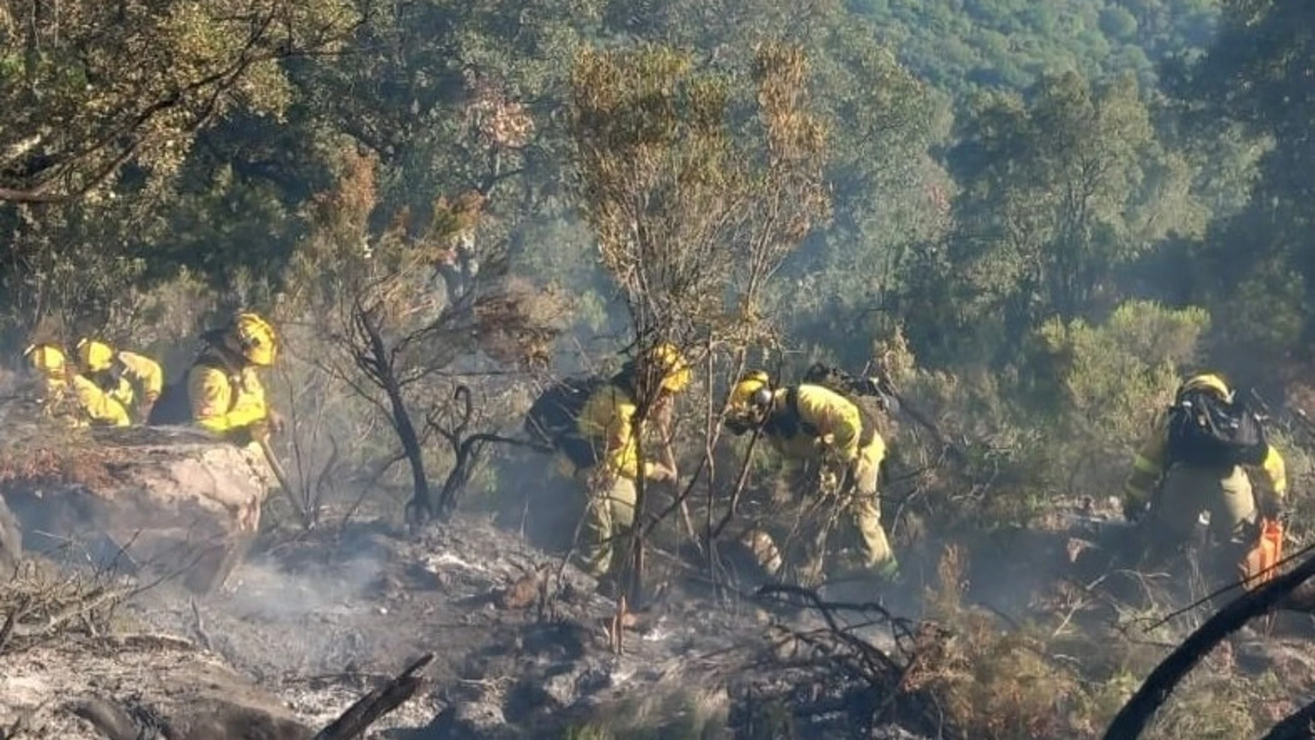 Efectivos del Plan Infoca trabajando en el incendio forestal de Jimena de la Frontera (Cádiz)