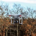 Un dron entrenado en un bosque puede volar en una ciudad gracias a las redes neuronales líquidas