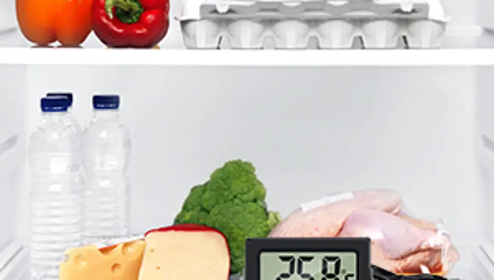 Este es el termómetro multiusos de moda: para la nevera, la pecera o el baño del bebé