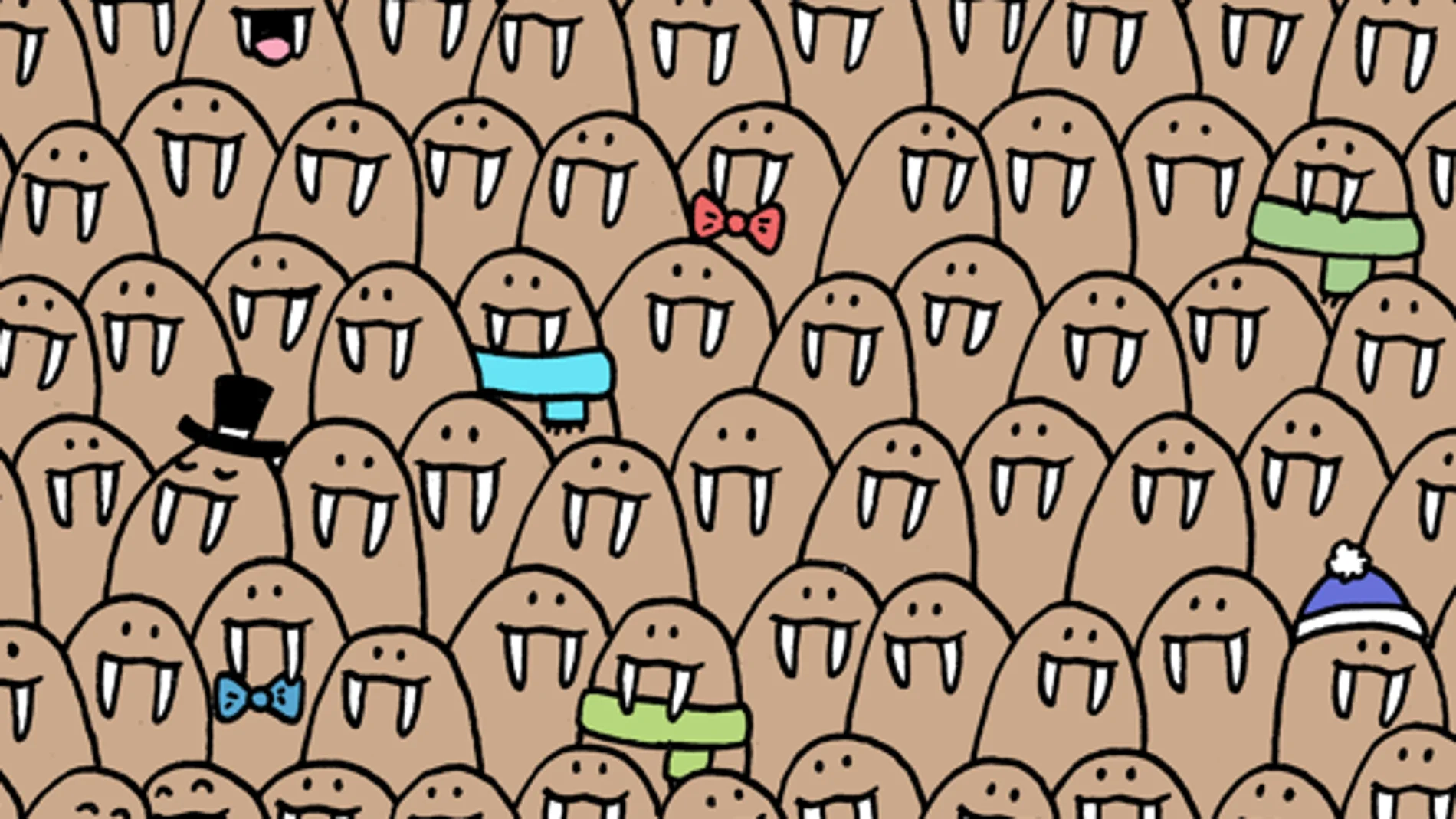 Encuentra las 5 focas que están camufladas entre las morsas