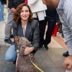 Ayuso y Martínez-Almeida visitan comercios y establecimientos de hostelería del distrito madrileño de Salamanca