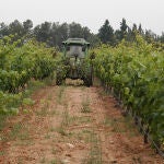 Los agricultores comienzan a recibir los anticipos de la PAC