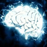 12 claves para disfrutar de un cerebro sano toda la vida
