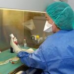 Una enfermera prepara una vacuna