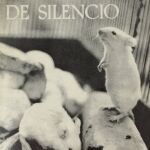 "Tiempo de silencio", de Luis Martín-Santos