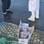 Alimentos retirados en la Feria de Abril de Sevilla