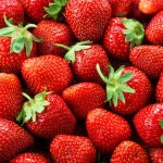 Fresas