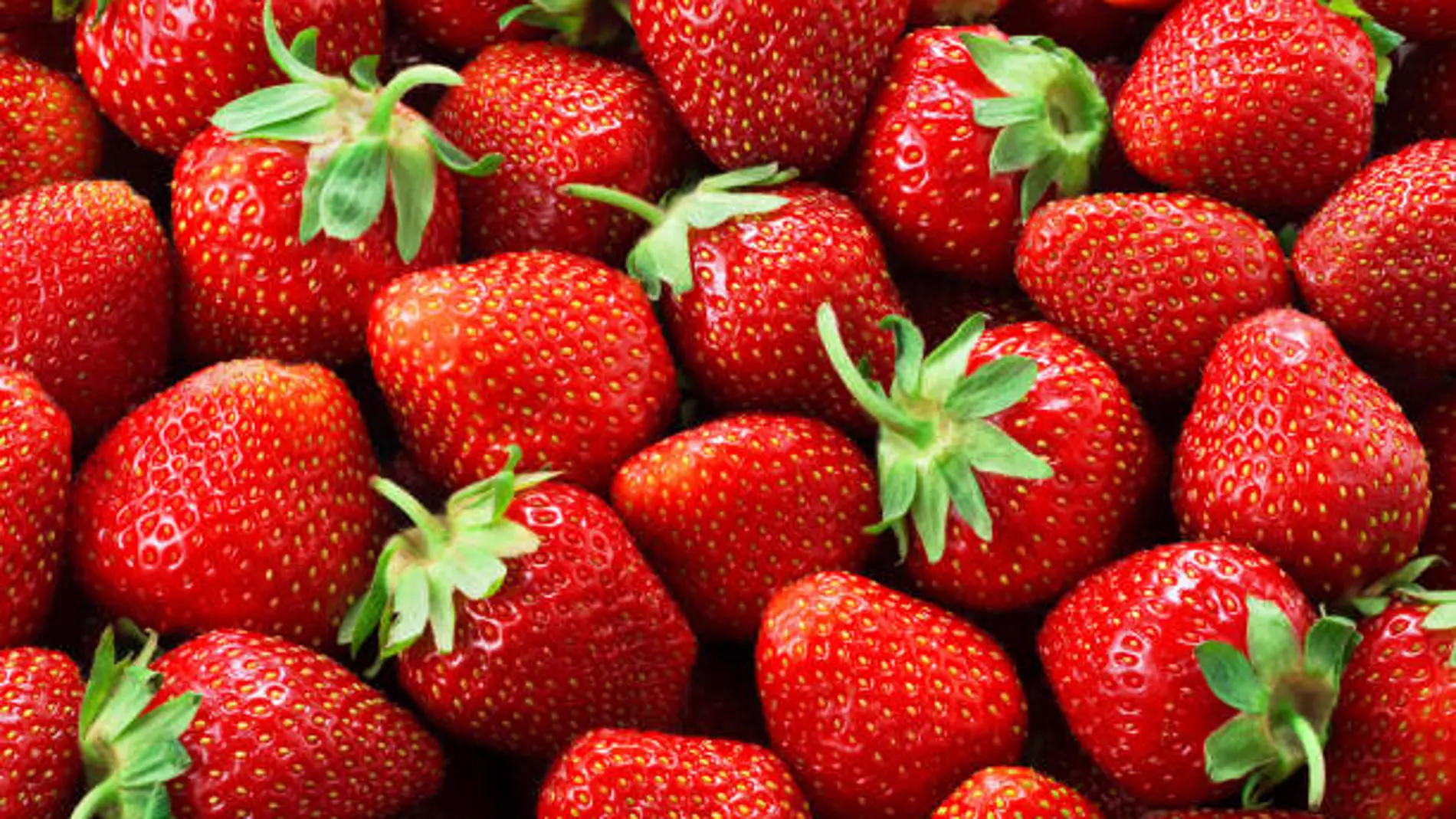 Fresas