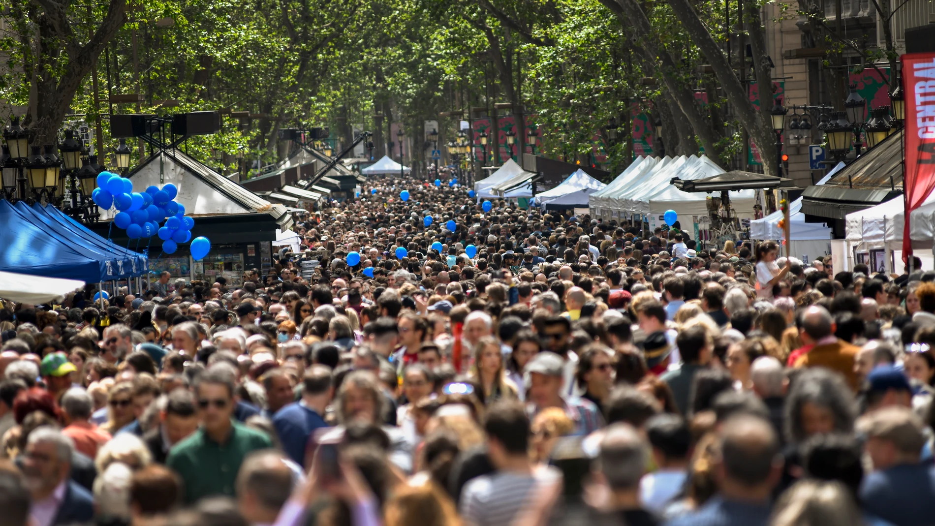 Ambiente en Sant Jordi,Barcelona .