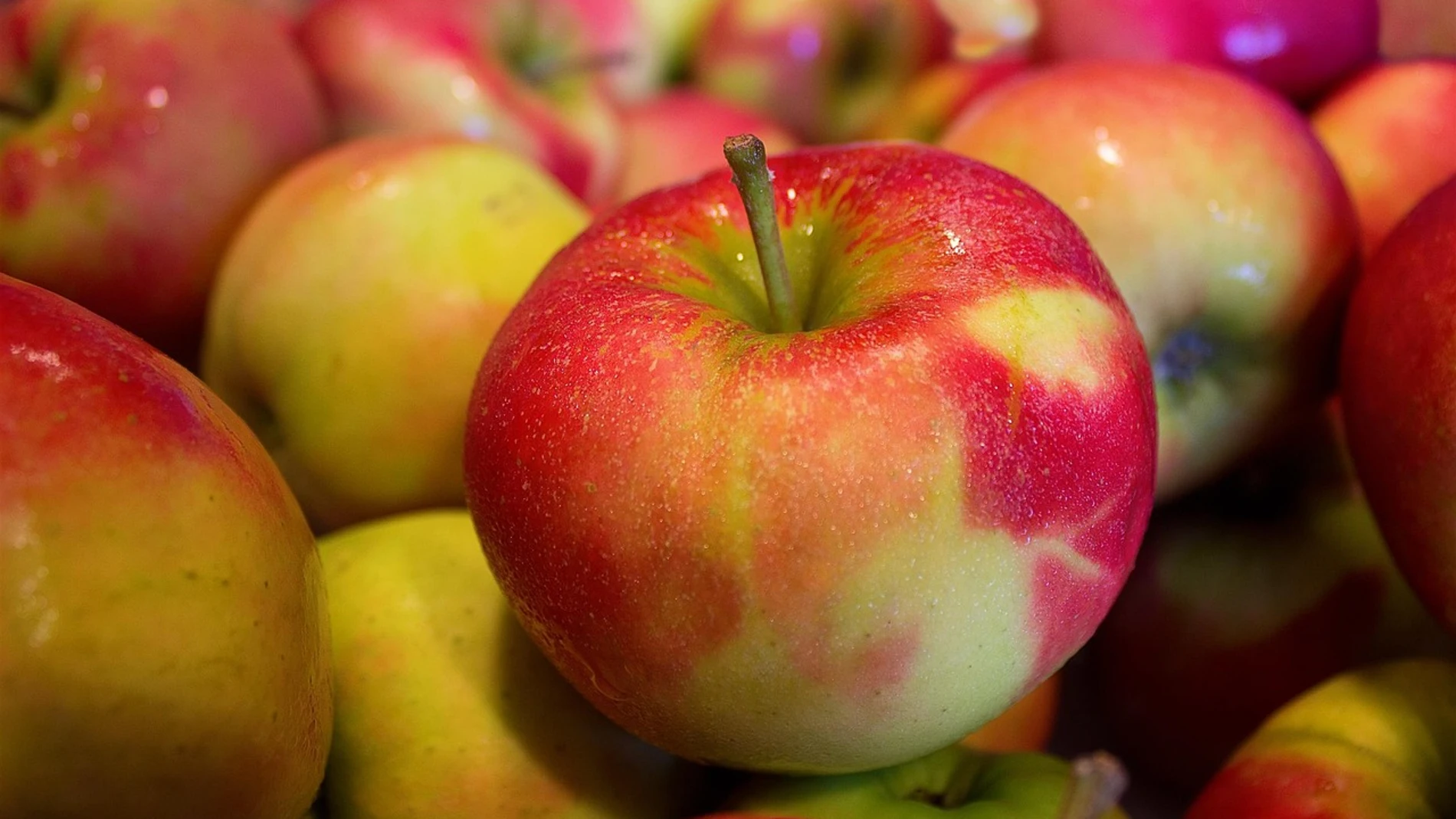 Manzanas