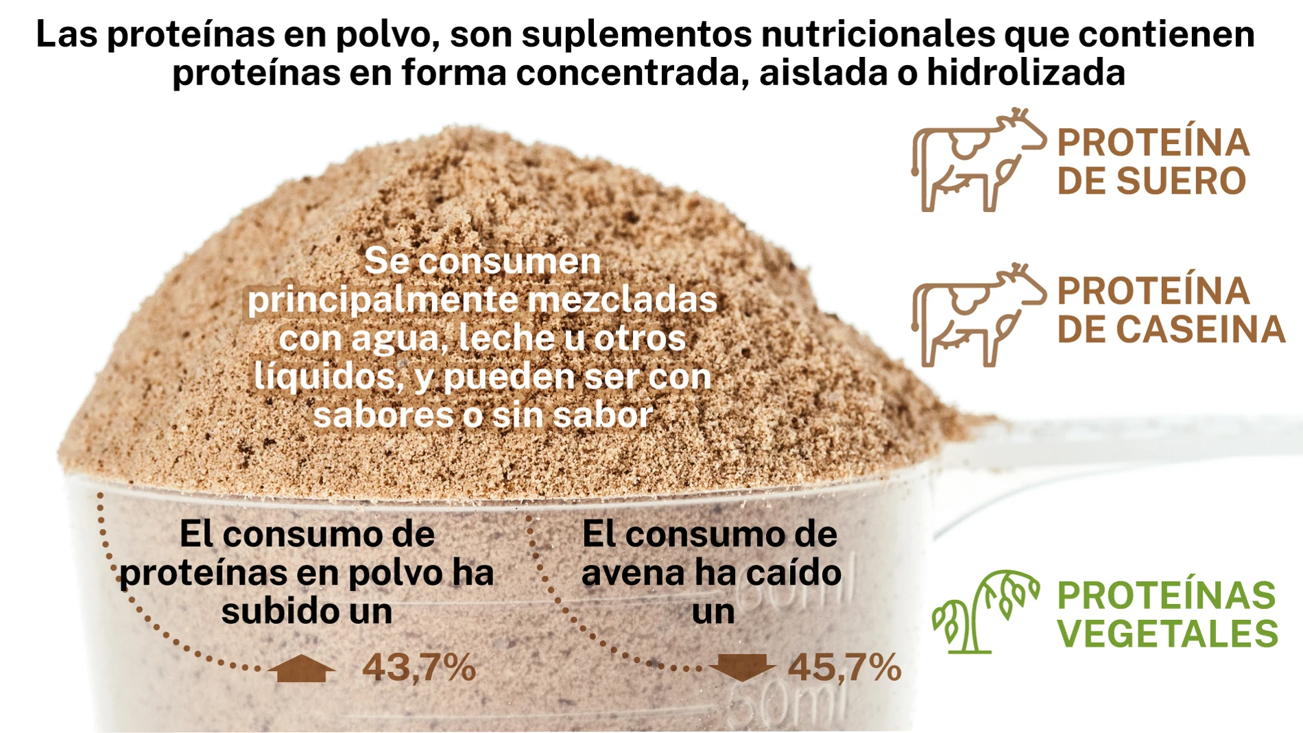 Los suplementos de proteínas