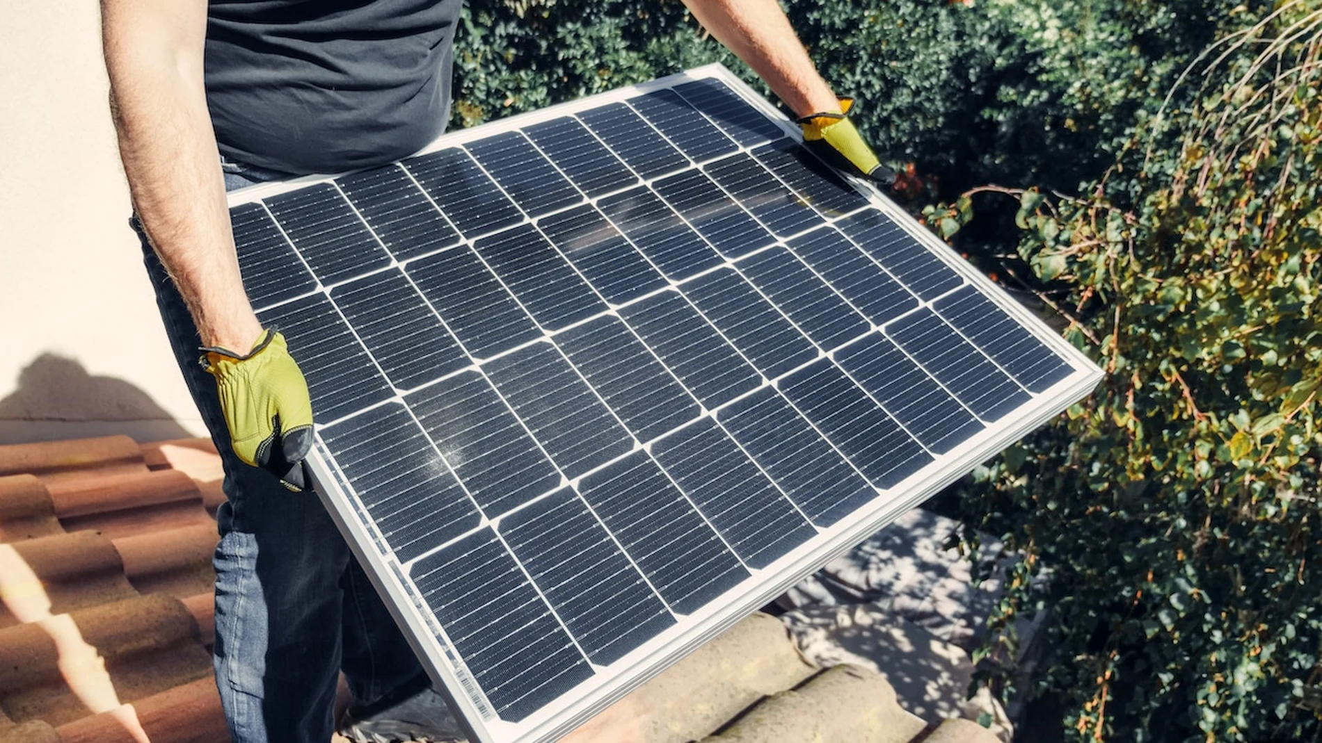 España impulsa la educación verde: Pedro Sánchez anuncia 4.000 plazas de FP vinculadas a las energías renovables