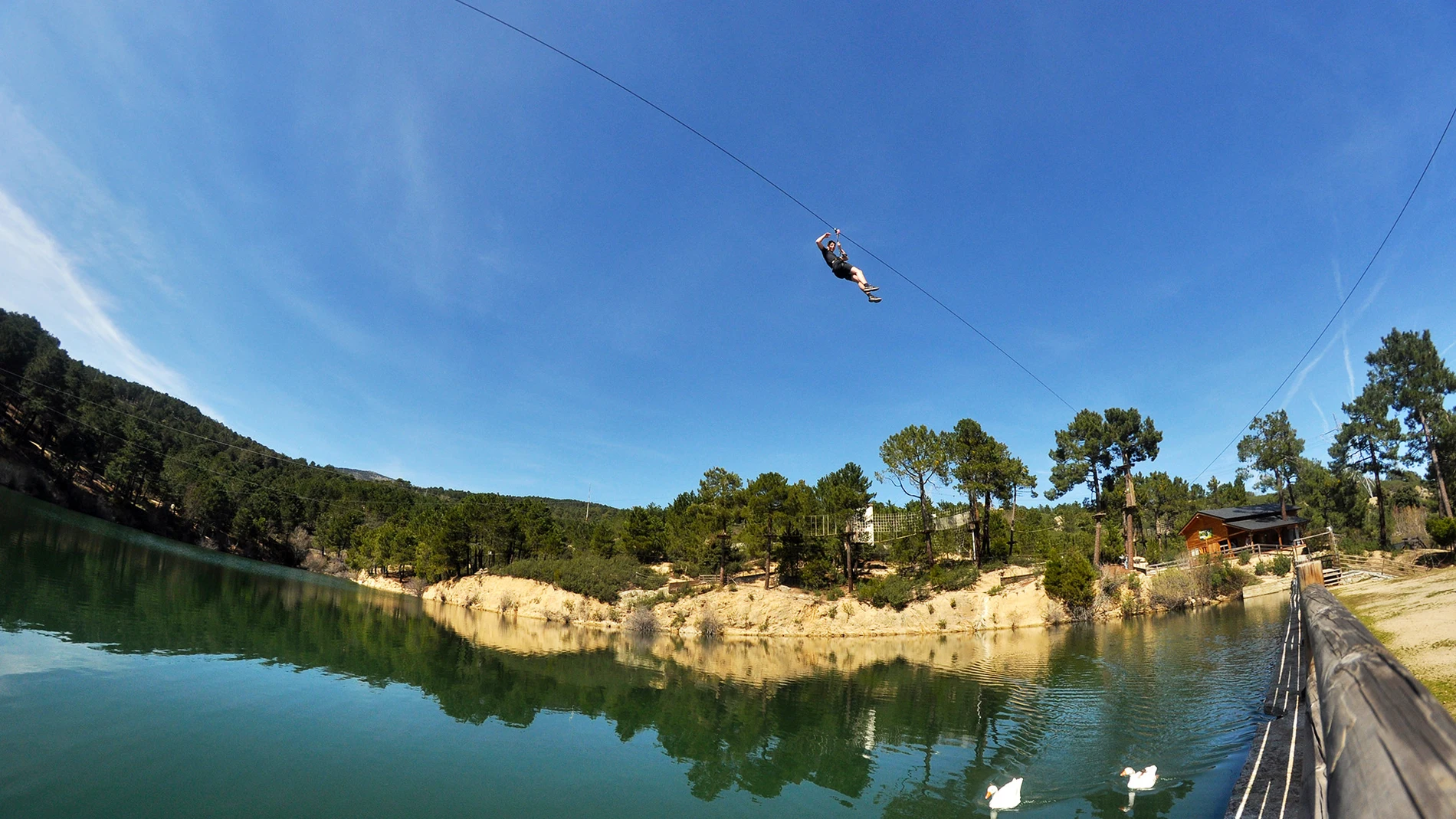 Aventura en Tirolina Forestal Park
