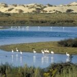 Parque Natural de Doñana 