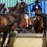 Cabellos en los abrevaderos de la Feria de Abril
