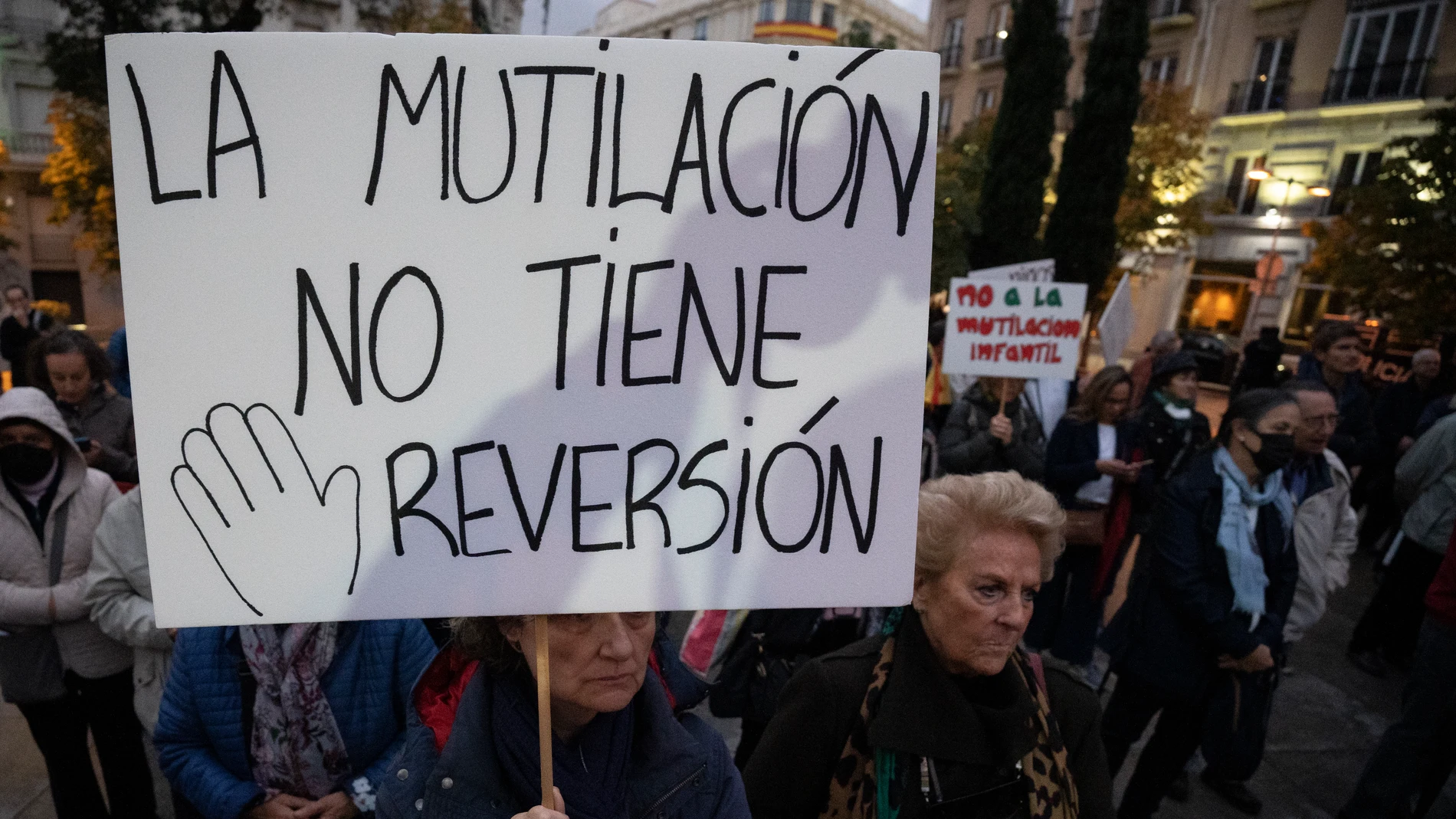 Concentración frente al Congreso contra la 'Ley Trans'.