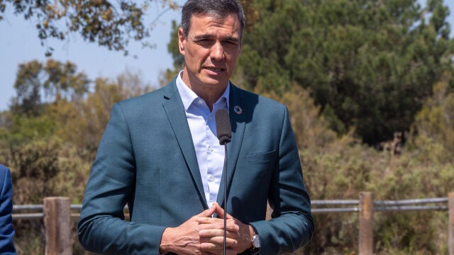 El presidente del Gobierno, Pedro Sánchez