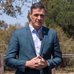 El presidente del Gobierno, Pedro Sánchez