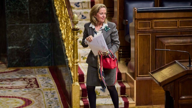 Nadia Calviño, Vicepresidenta primera y ministra de Asuntos Económicos y Transformación Digital durante una sesión de control al gobierno en el Congreso de los Diputados.