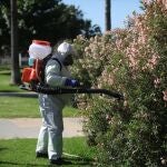 Operario realiza labores de fumigación 
