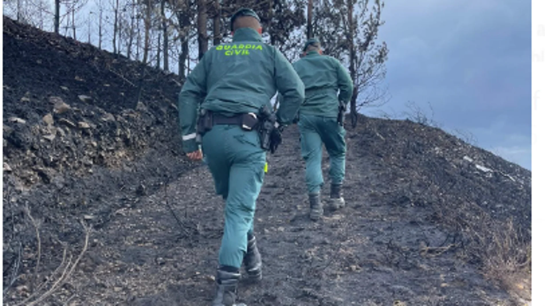 Agentes del SEPRONA de Asturias investigan sobre el terreno
