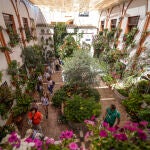 Fiesta de Los Patios en Córdoba