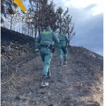 Agentes del SEPRONA