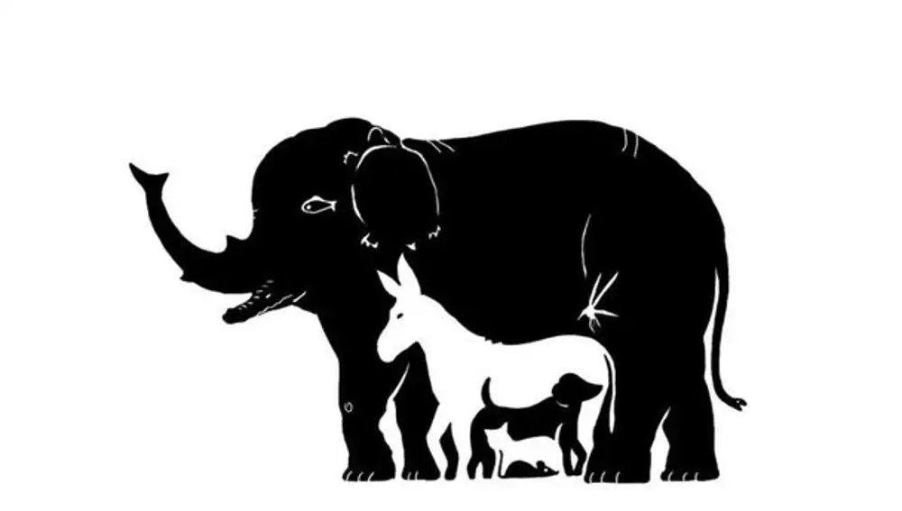 Encuentra los 13 animales que forman esta interesante ilusión óptica