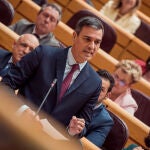Último cara a cara en el Senado entre Sánchez y Feijóo antes de las elecciones