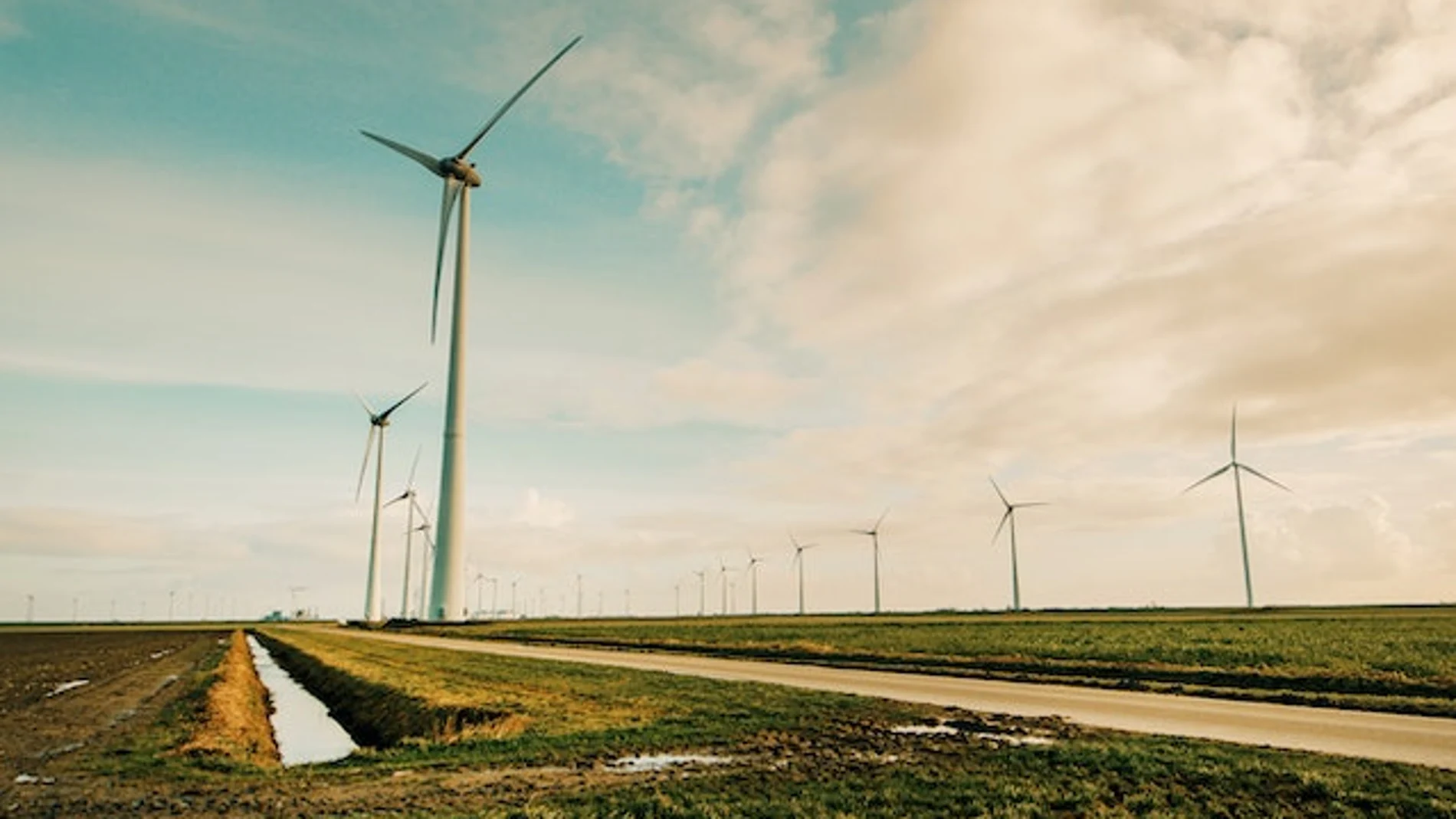 España y la AIE convocan a una cumbre de energías limpias en Madrid, enfocada en la transición hacia fuentes sostenibles