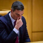 Pedro Sanchez