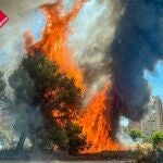 Alicante.- Sucesos.- Un incendio en unos solares de Benidorm calcina colchones, basura y diversos enseres