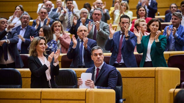 Pedro Sanchez sesion control Senado.© Alberto R. Roldán / Diario La Razon.