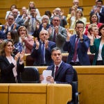 Pedro Sanchez sesion control Senado.© Alberto R. Roldán / Diario La Razon. Pedro Sanchez sesion control Senado.© Alberto R. Roldán / Diario La Razon.