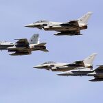 Cazas de las Fuerzas Armadas que participan en los ensayos