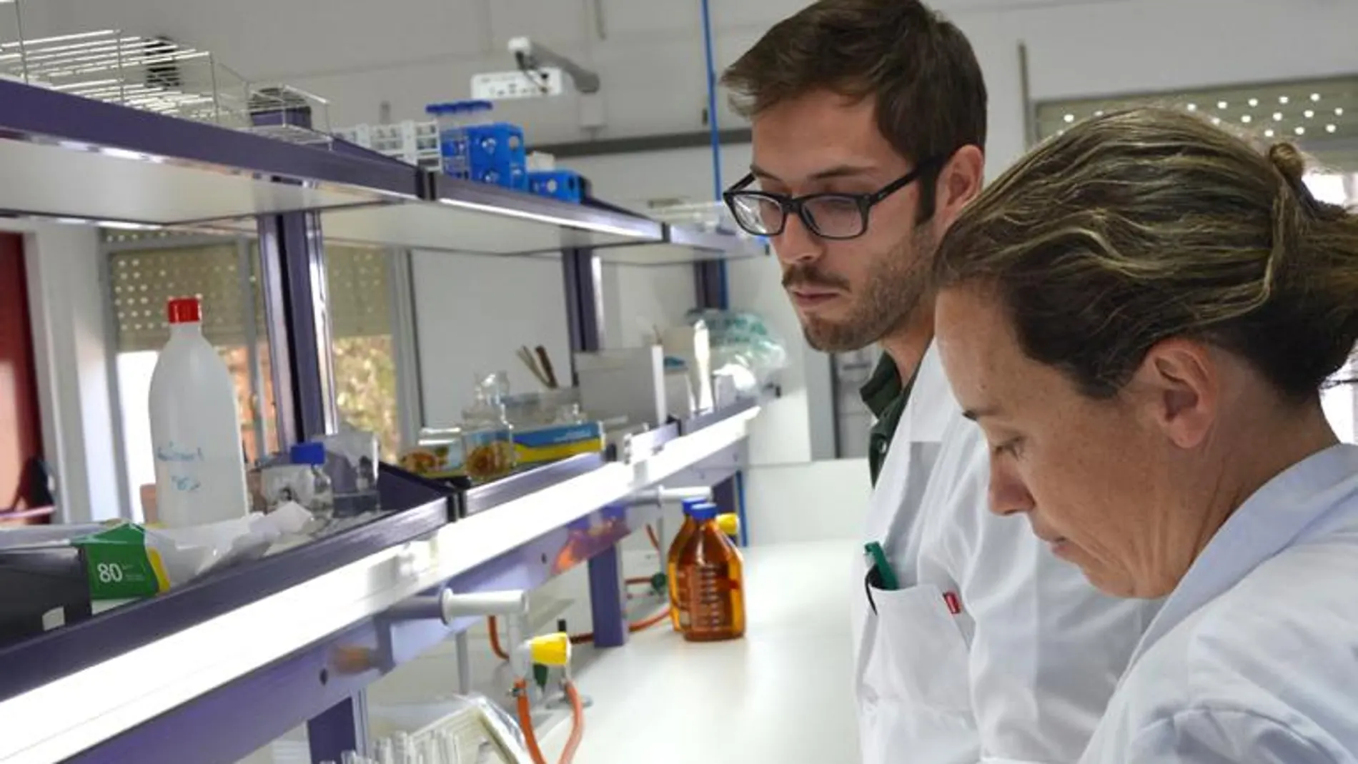 La Universidad Católica de Ávila, la segunda en empleabilidad
